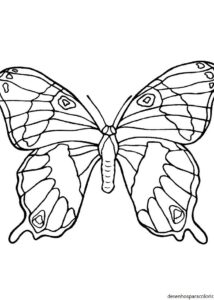 Desenhos de borboletas 19